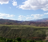 DSC00878