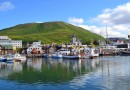 Walsafari Húsavík